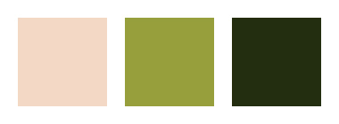 12-Farben